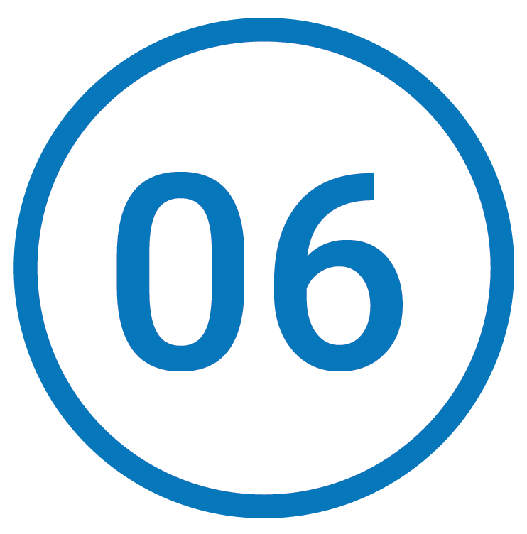 Number 06